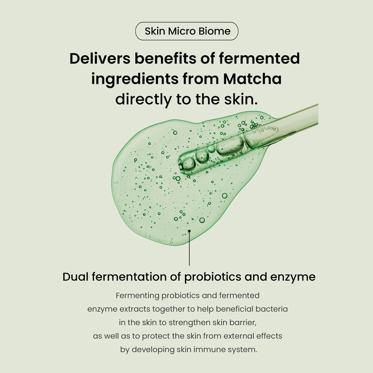 Infographic: dubbele fermentatie van probiotica en enzymen versterkt de huidbarrière