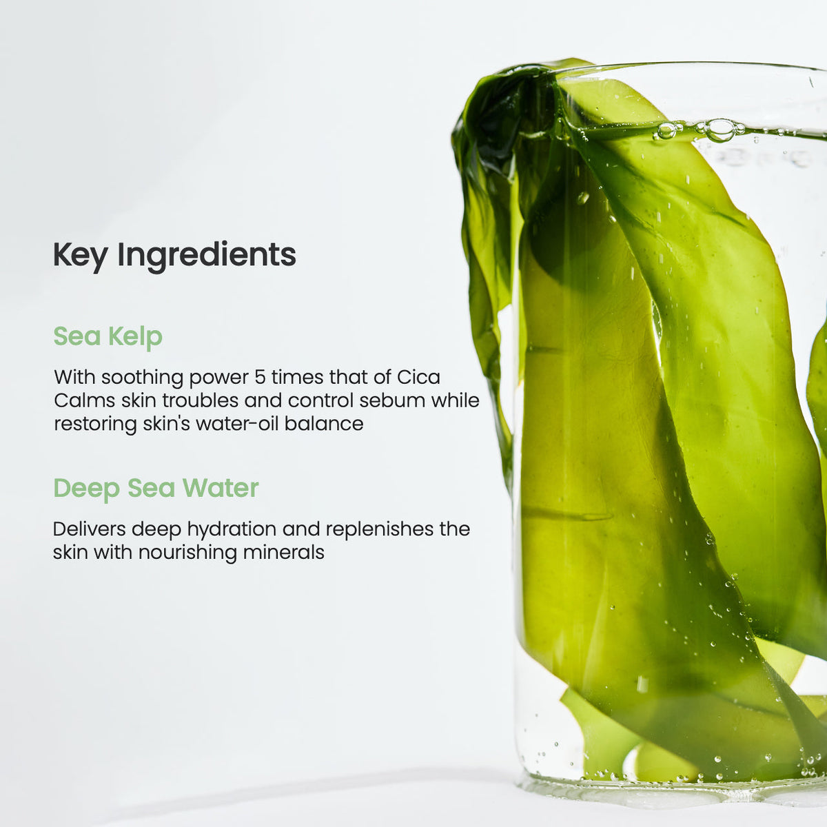 Belangrijkste ingrediënten van het Biodance Sea Kelp masker: zeewier en diepzeewater