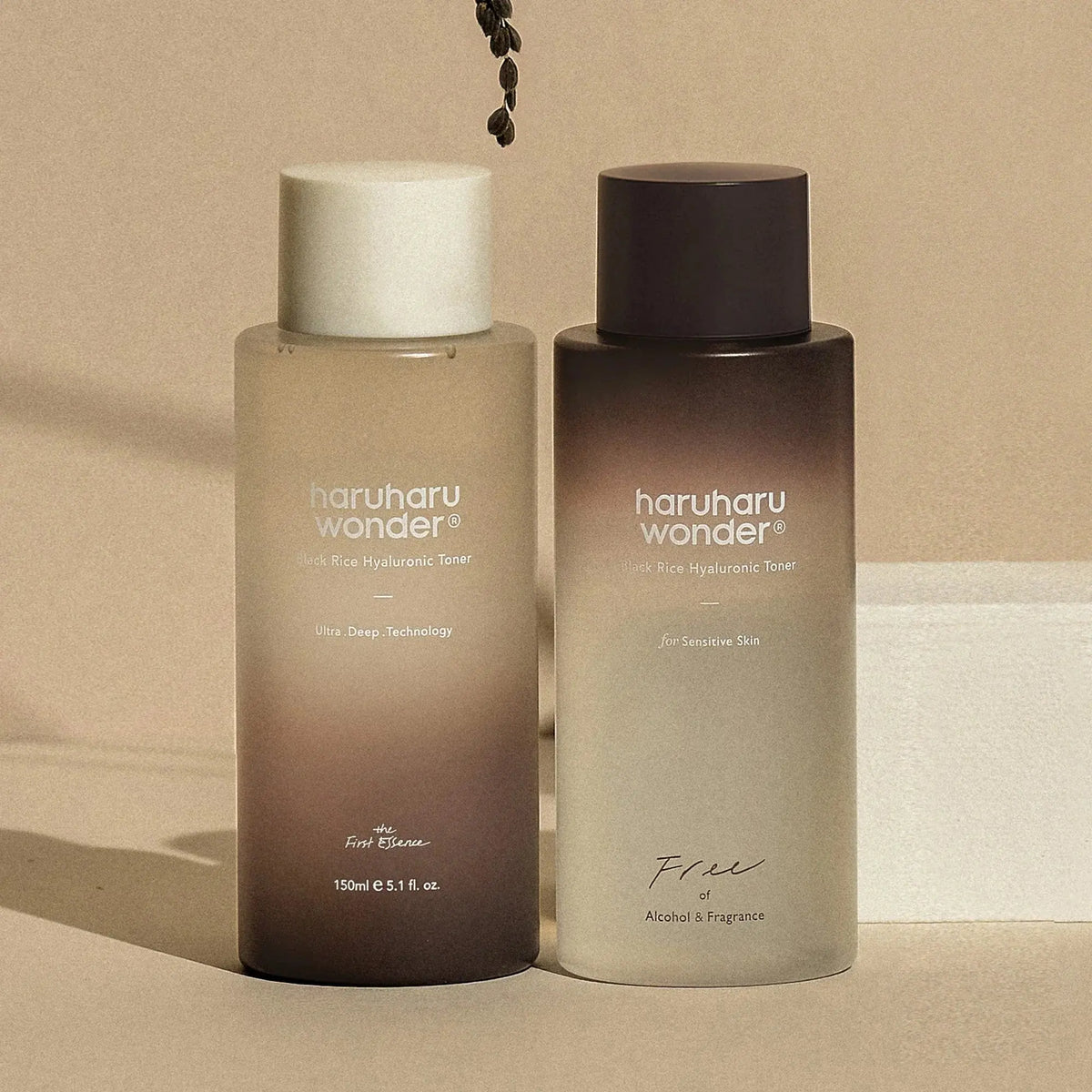 Haruharu WONDER Black Rice Hyaluronic Toner Fragrance Free Korean skincare toner