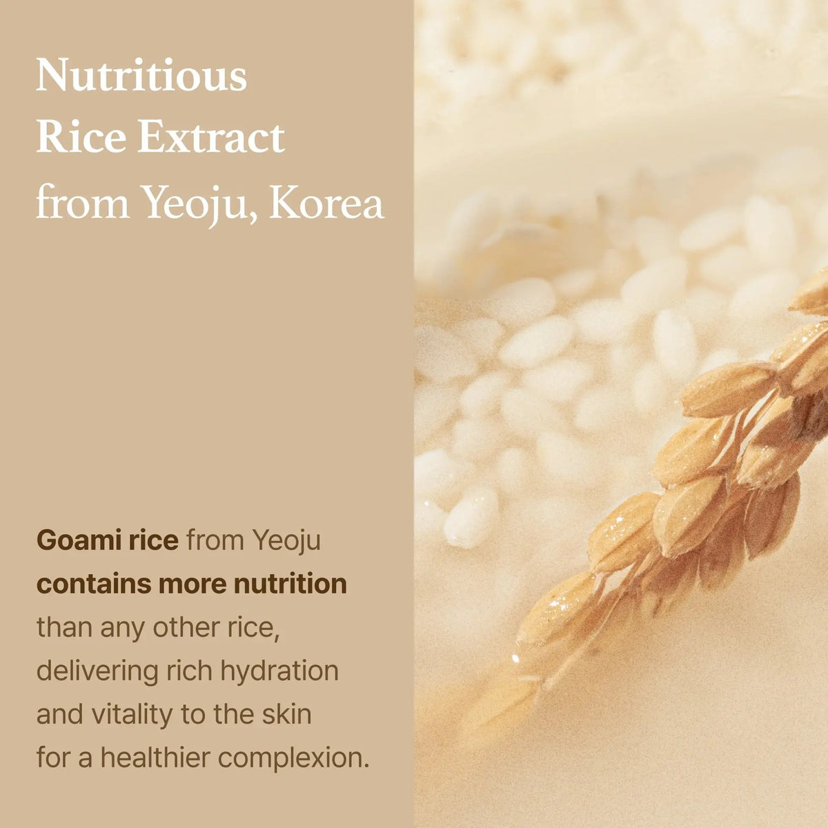 I'm from Rice Toner met voedzaam rijstextract uit Yeoju