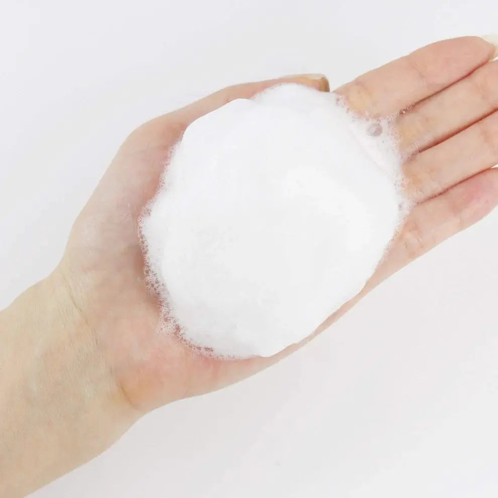 Round Lab 1025 Dokdo Cleanser, zacht schuim in de handpalm