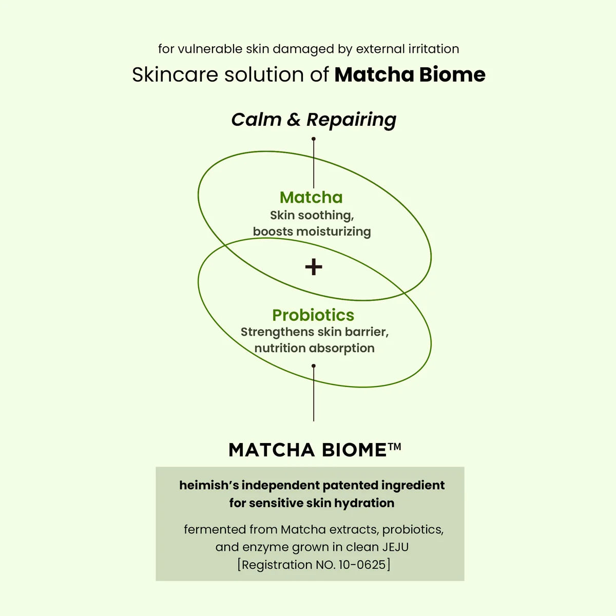 Infographic: vegan matcha uit het schone Jeju met kalmerende en antioxidant-werking