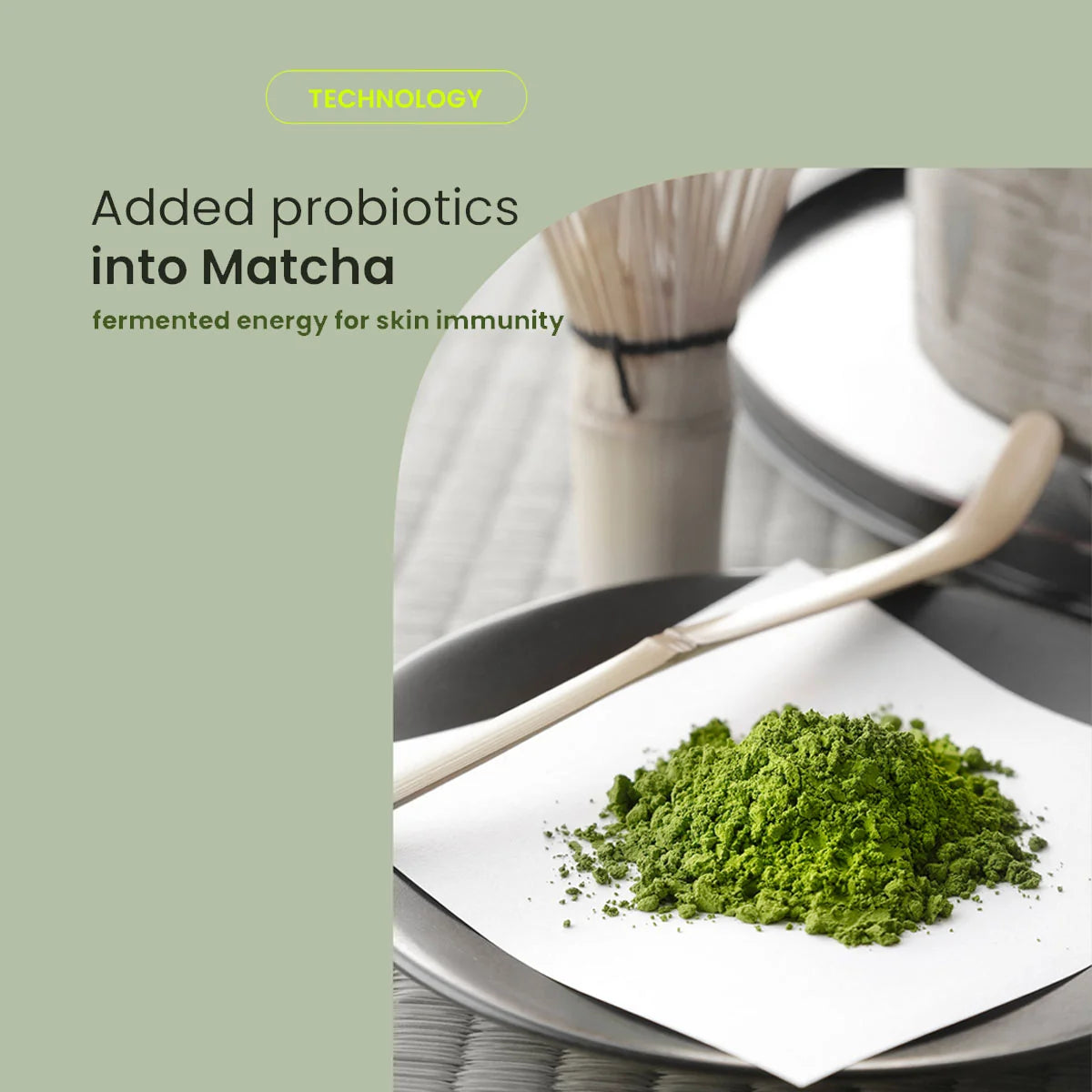 Infographic: gefermenteerde matcha met probiotica voor de huidafweer
