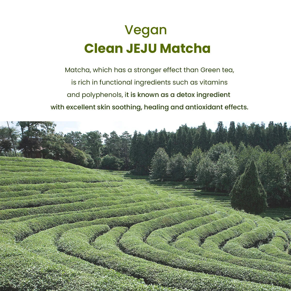 vegan matcha uit het schone Jeju met kalmerende en antioxidant-werking