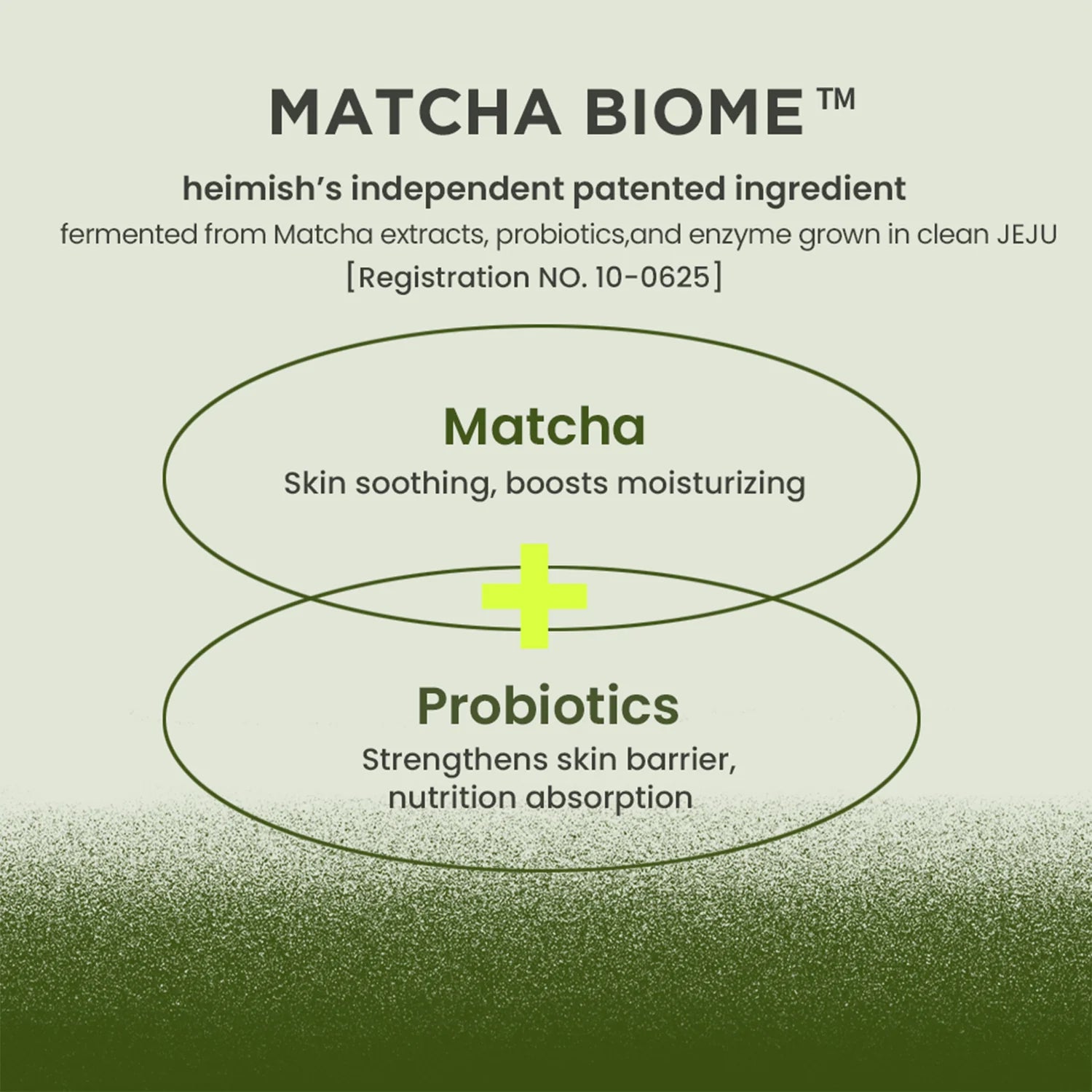 Infographic: gefermenteerde matcha met probiotica voor de huidafweer