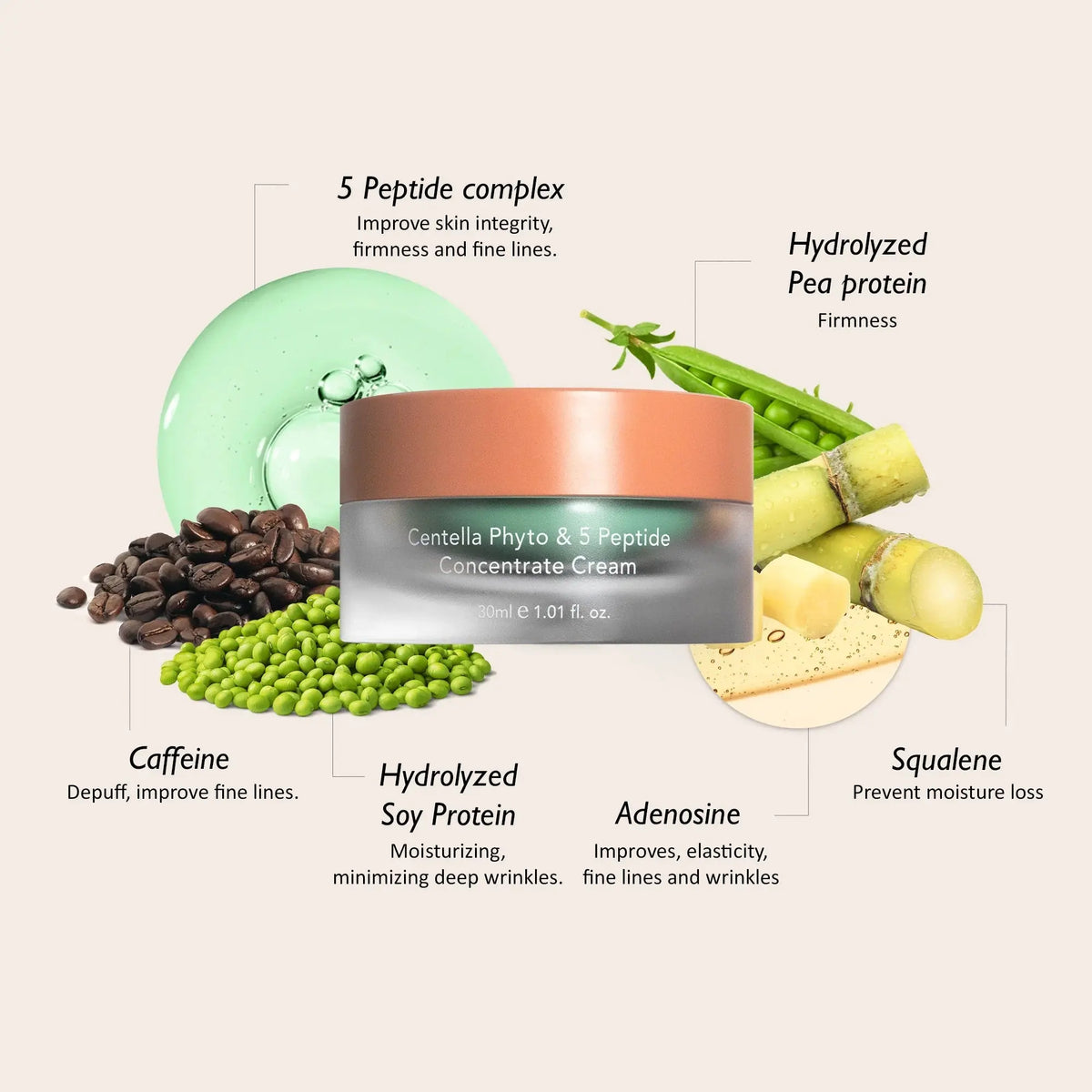 Haruharu Wonder Centella Phyto & 5 Peptide Concentrate Cream met 5 peptiden, cafeïne, adenosine en squalaan