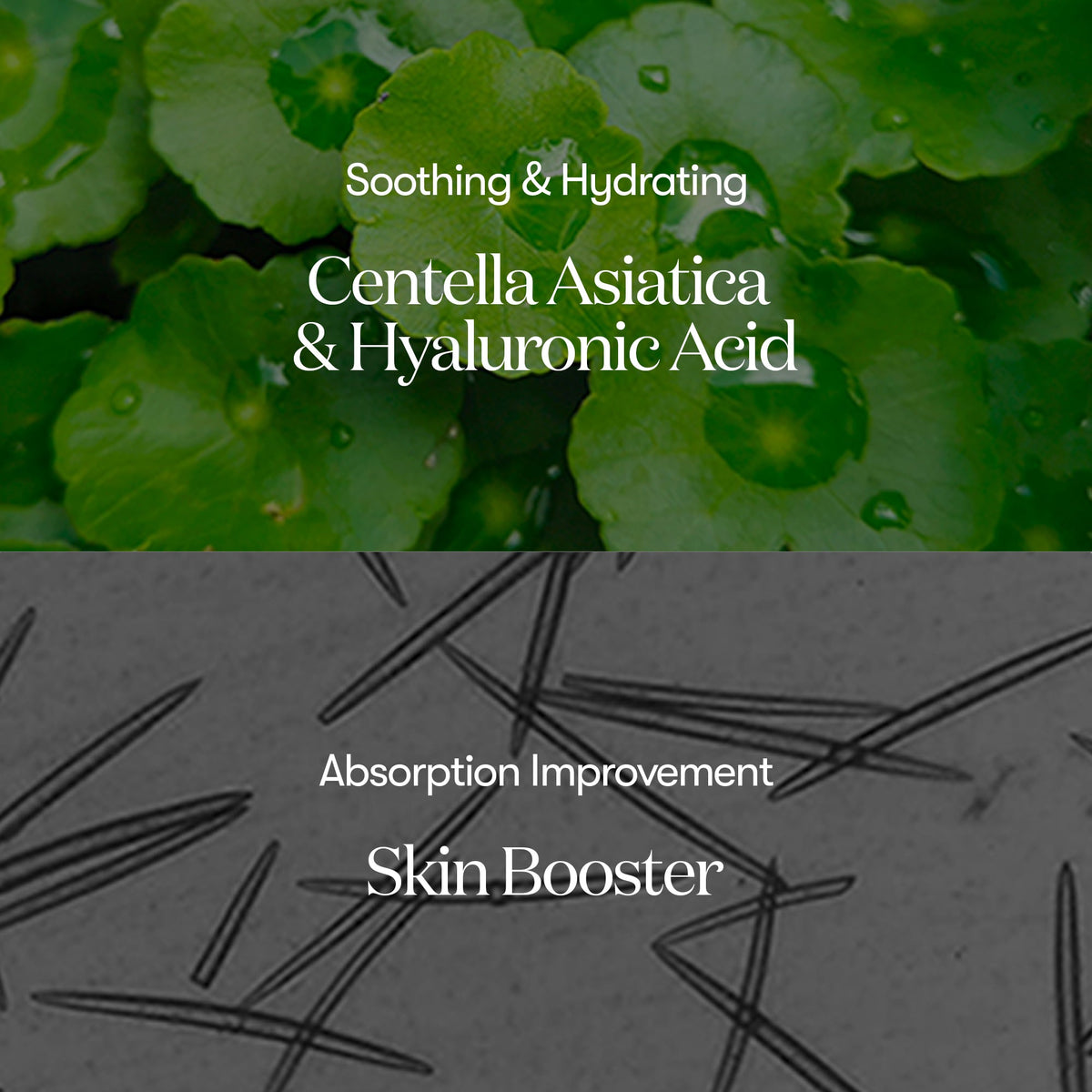VT Cosmetics VT Reedle Shot 300 met centella asiatica en hyaluronzuur voor een betere opname