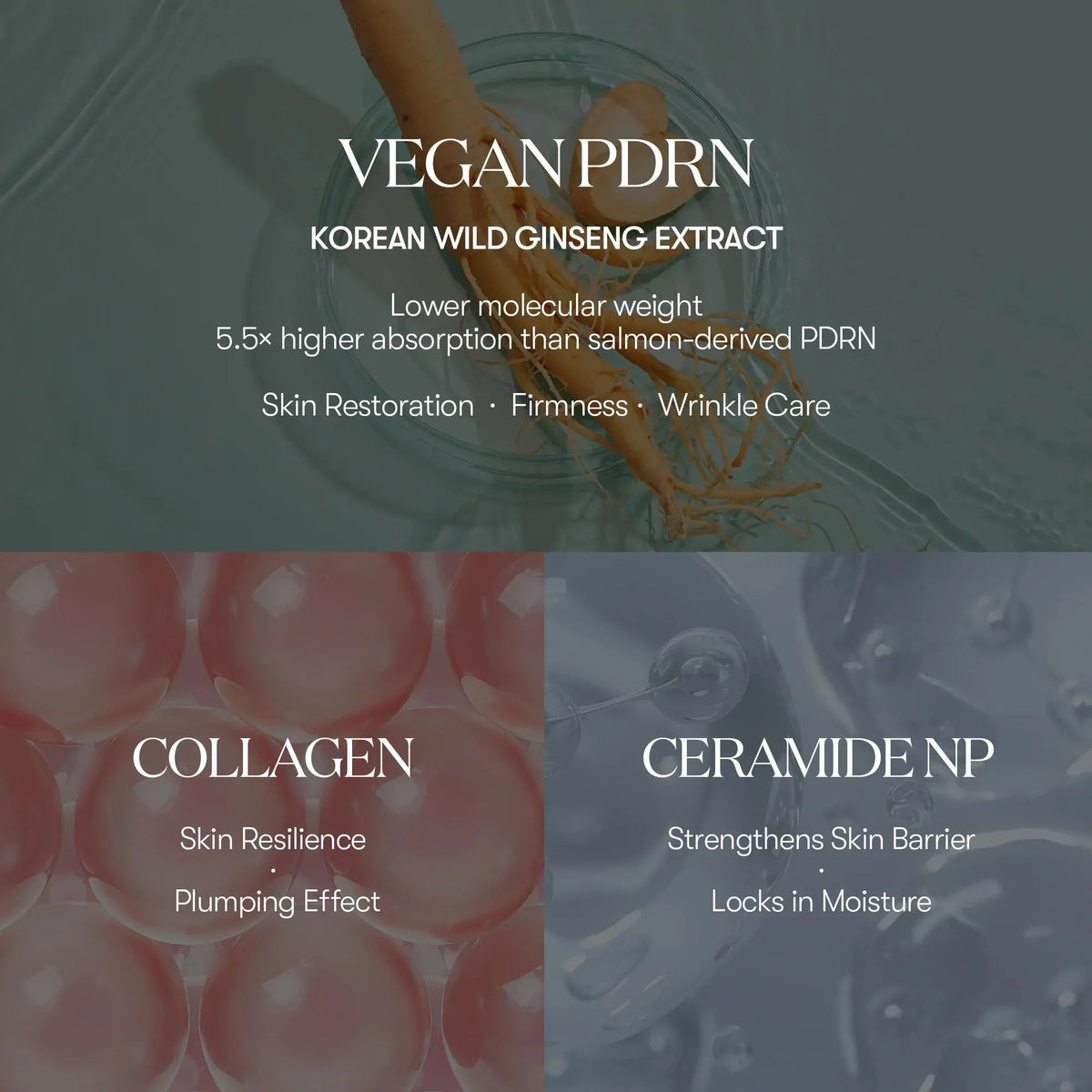 VT PDRN Essence Stick Balm met vegan PDRN uit wilde ginseng, collageen en ceramide NP